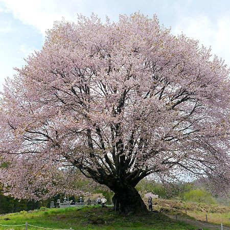 Pension Green Field 카타시나 외부 사진