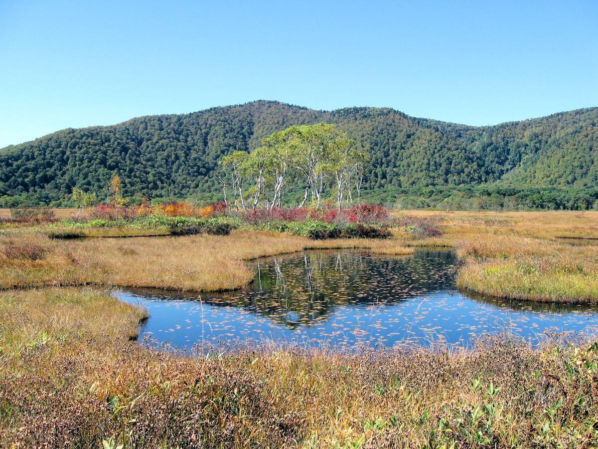 Pension Green Field 카타시나 외부 사진