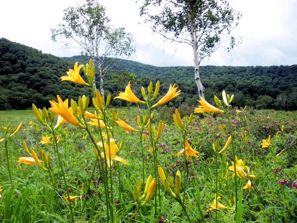 Pension Green Field 카타시나 외부 사진